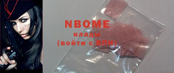 прущие грибы Каменск-Шахтинский
