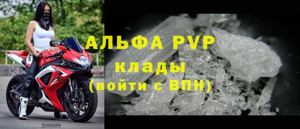 стафф Зеленокумск